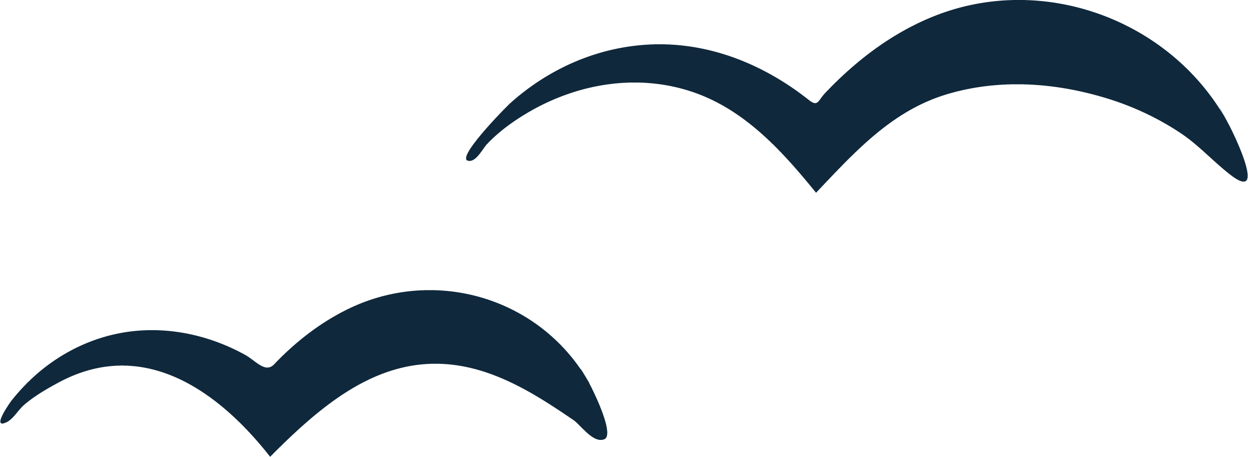 Hacienda Bird