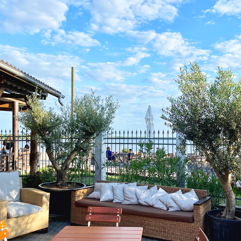 Terrasse